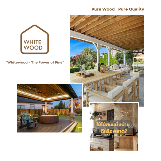 ห้างหุ้นส่วนจำกัด แบล็ควู้ด เอ็นเตอร์ไพรซ์ (4)